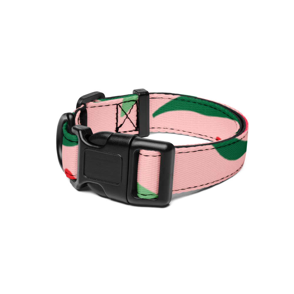 Comfort Fit Pet Collar
