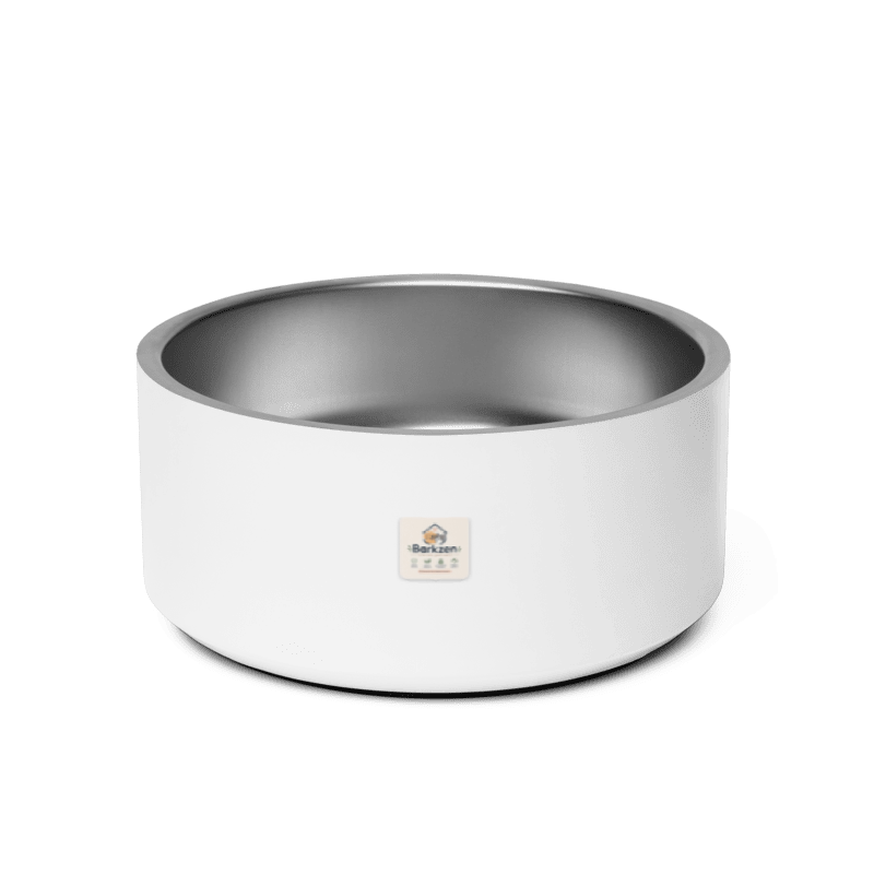 White and silver metal bowl on a white background