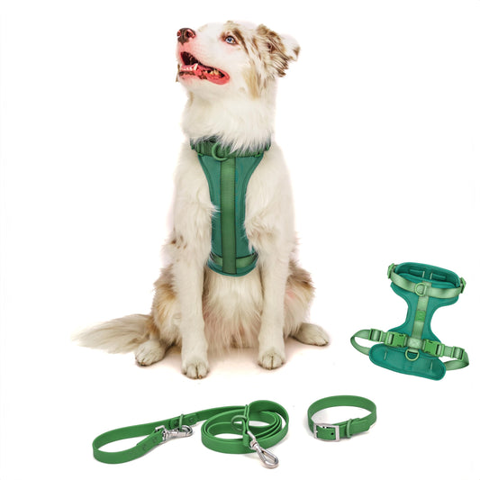 Dog Harness and Leash Set | BearBone No Pull Dog Harness and Waterproof Dog Collar and Leash Set | Heavy Duty Dog Harness Leash and Collar | Small Dog Harness and Leash Set (Green Small)