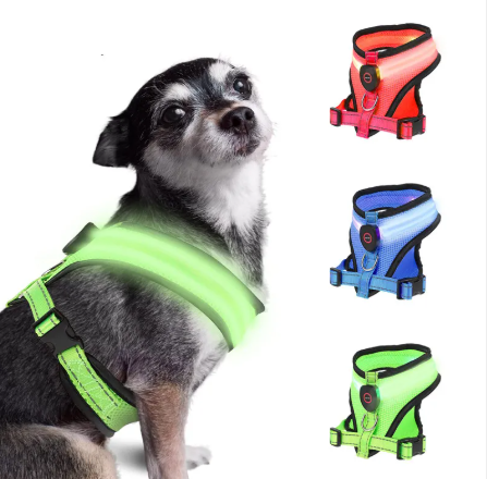 Harnais LED BrightTrail pour chien