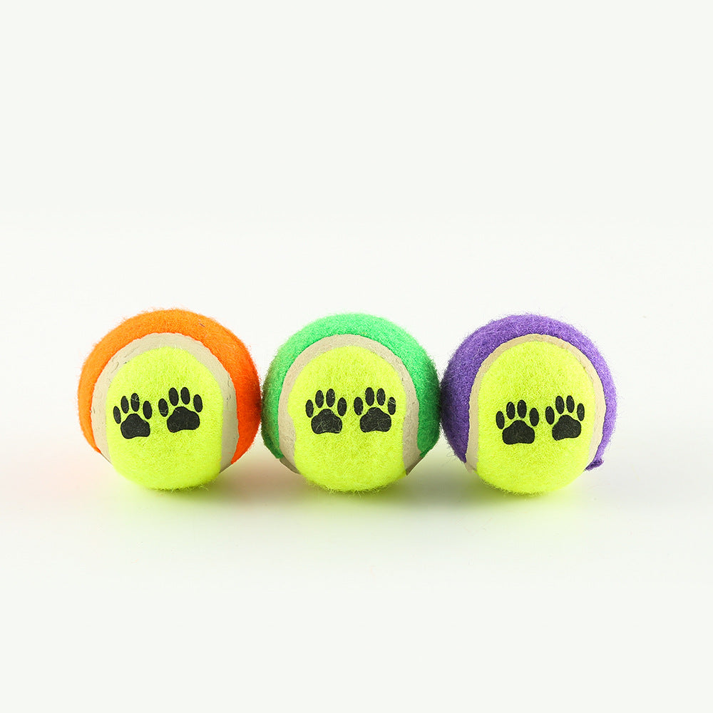 Fetch Pro Hunde-Trainingswerfer