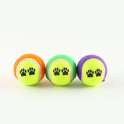 Fetch Pro Hunde-Trainingswerfer