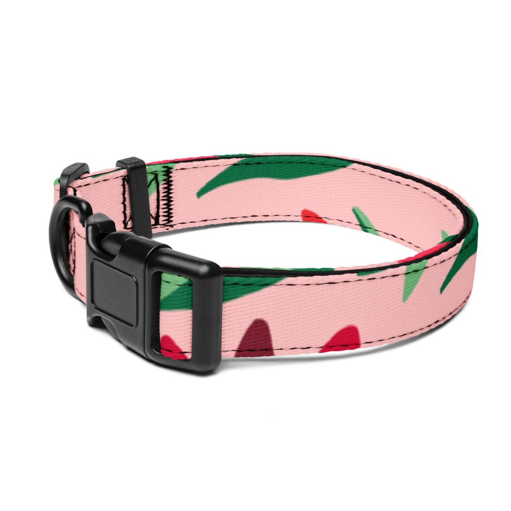 Comfort Fit Pet Collar