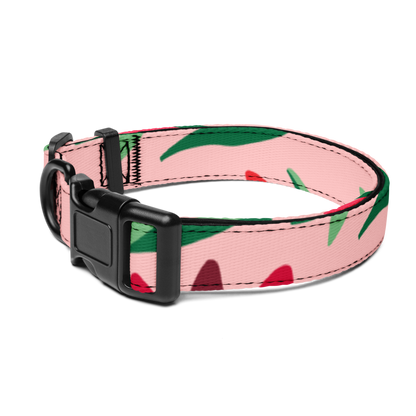 Comfort Fit Pet Collar