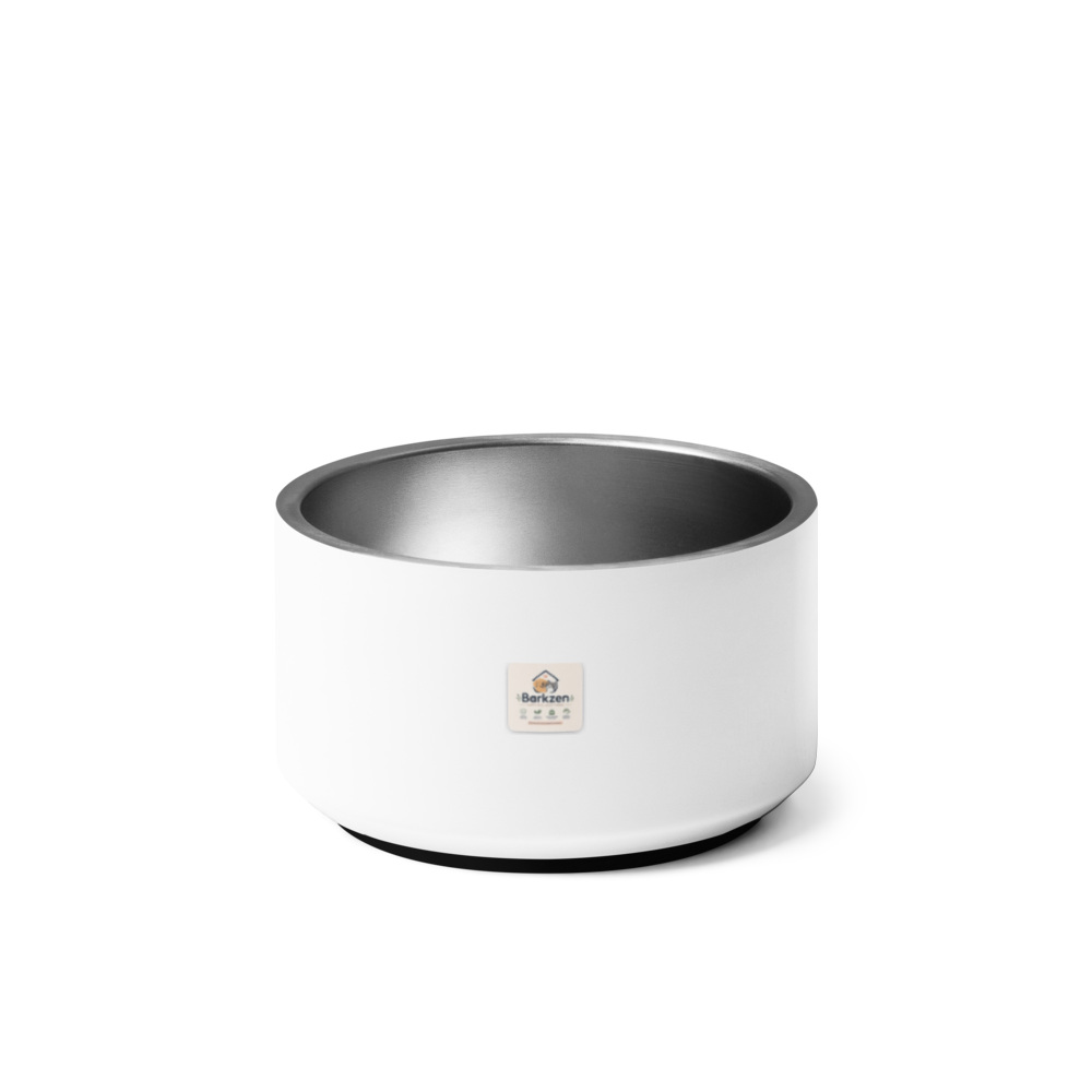 White and silver bowl on a white background