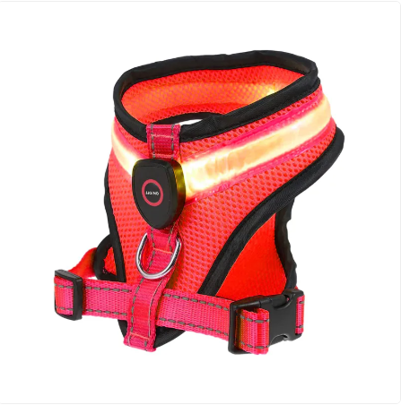 Harnais LED BrightTrail pour chien