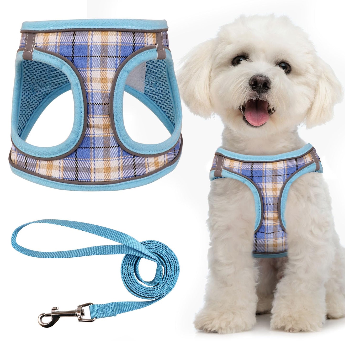 Hundegeschirr für kleine Hunde Kleines Hundegeschirr Welpengeschirr Atmungsaktives Netz Reflektierend Verstellbare Sicherheitsschnalle XS Hundegeschirr Welpengeschirr und Leinen-Set (Blau & XS)