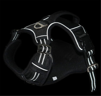 All-Weather Comfort Pet Harness