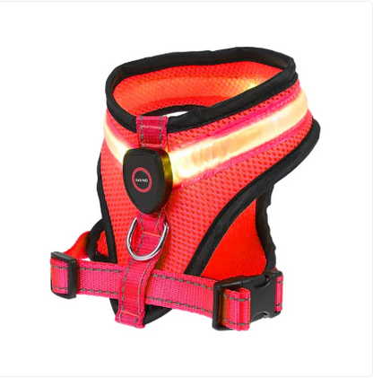 Harnais LED BrightTrail pour chien