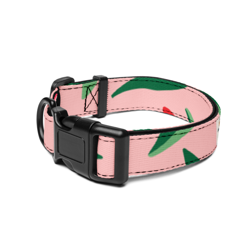 Comfort Fit Pet Collar