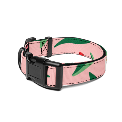Comfort Fit Pet Collar