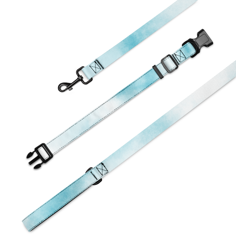 Chic Pet Collar & Leash Set