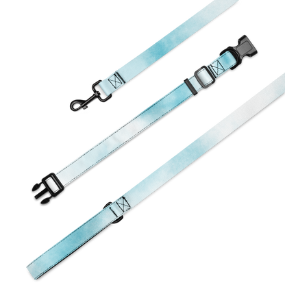 Chic Pet Collar & Leash Set