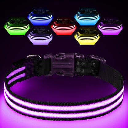 360 IllumiCollar - Waterproof Light-Up LED Dog Collar