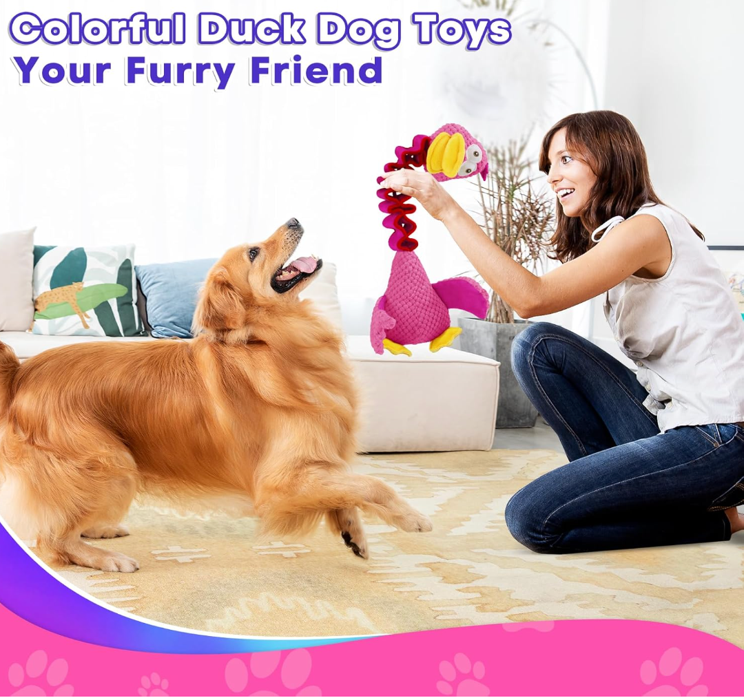 Woman playing with a dog using colorful duck dog toys in a living room.
