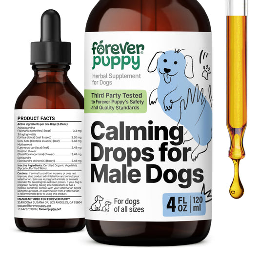 Calming Drops for Male Dogs - Liquid Ashwagandha for Dogs of All Breeds & Sizes - Composure & Relaxation Supplements for Male Pets - Herbal Alternative to Calming Chews for Dogs - Happy Pet Care 4 oz