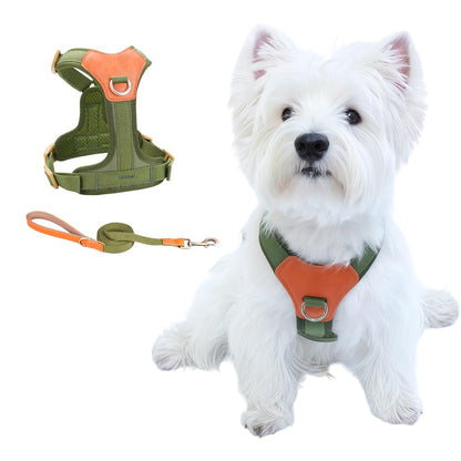 CHUNFENGX Hundegeschirr und Leine Set, Zugfreies Hundegeschirr mit Frontclip, Trainingsgeschirr für mittelgroße Hunde, Easy Walk Hundegeschirr für kleine bis mittelgroße Hunde (Grün XS)