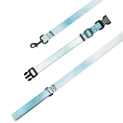 Chic Pet Collar & Leash Set