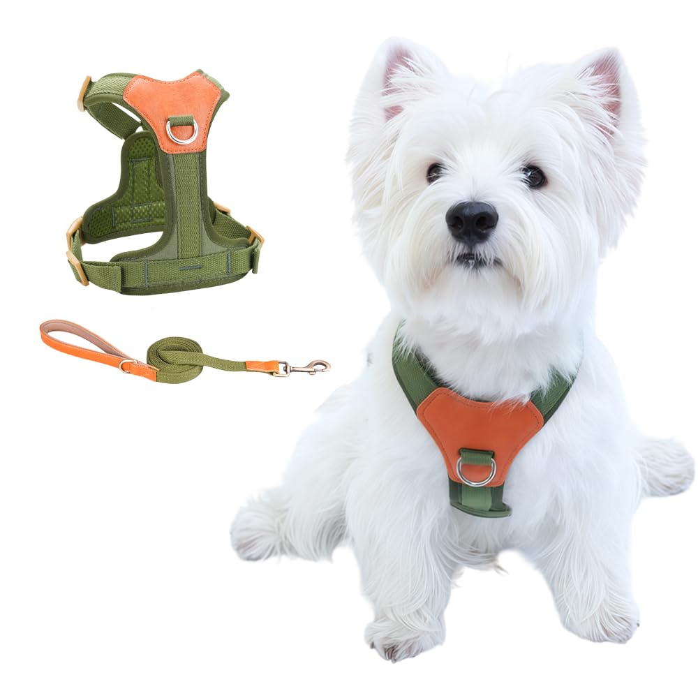 CHUNFENGX Hundegeschirr und Leine Set, Zugfreies Hundegeschirr mit Frontclip, Trainingsgeschirr für mittelgroße Hunde, Easy Walk Hundegeschirr für kleine bis mittelgroße Hunde (Grün XS)