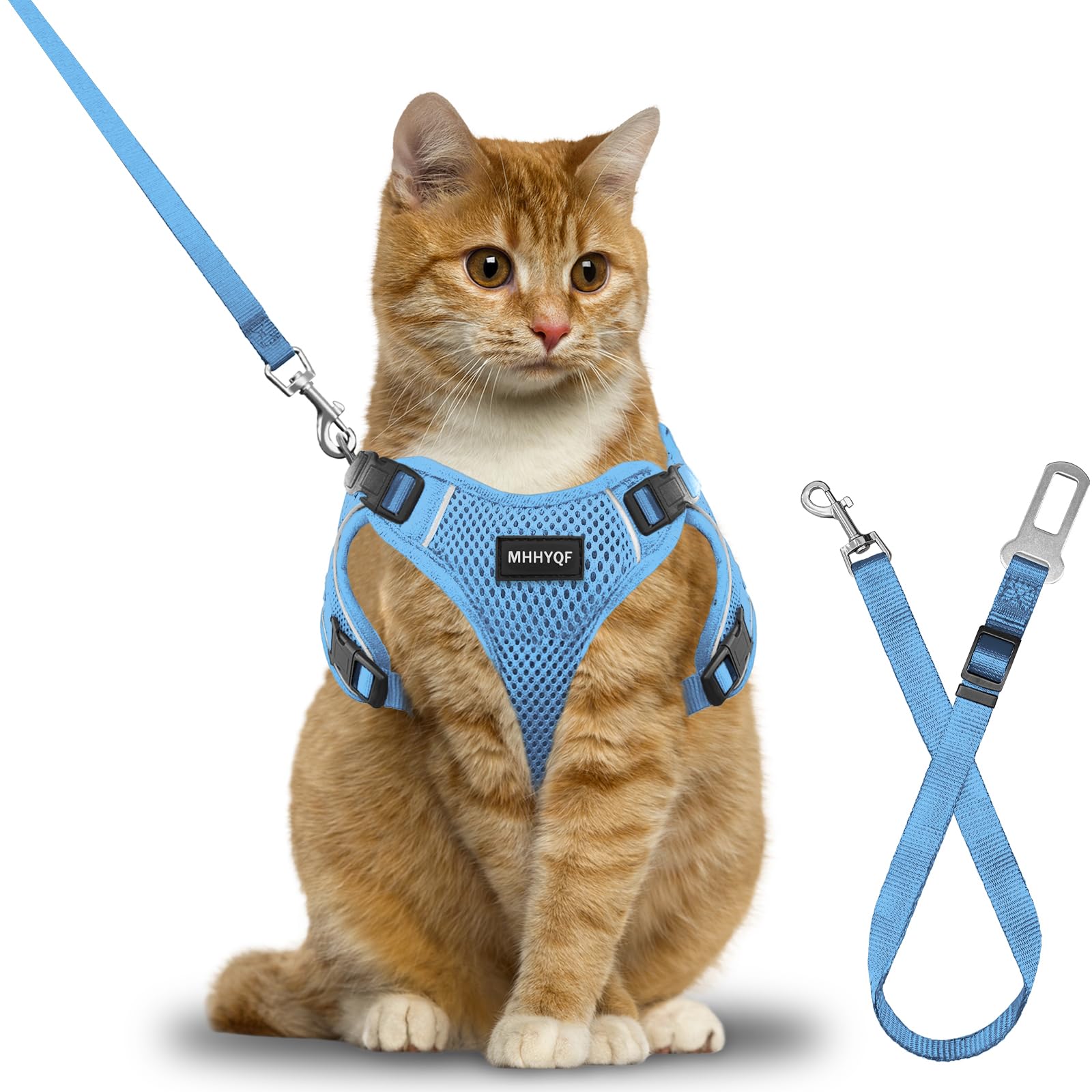Cat wearing a blue harness and leash set on a white background