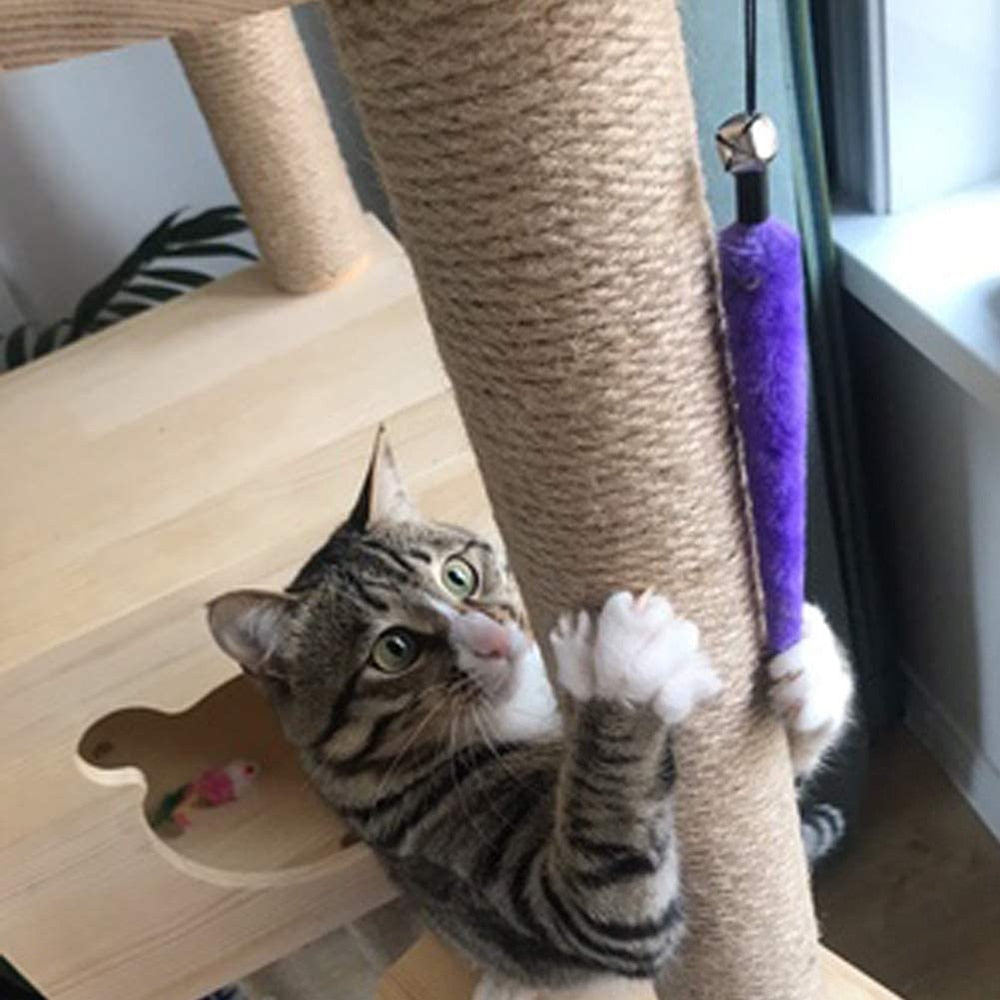 Einziehbares Katzenfeder Spielzeug für Hauskatzen