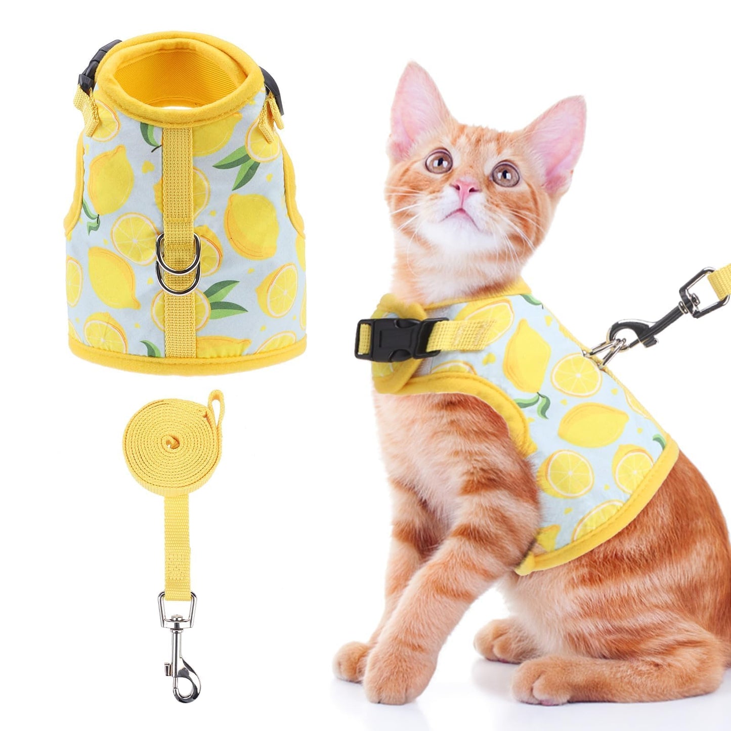 Cat wearing a lemon-patterned harness and leash set on a white background