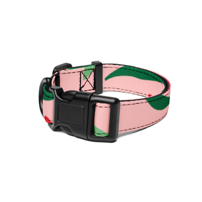 Comfort Fit Pet Collar
