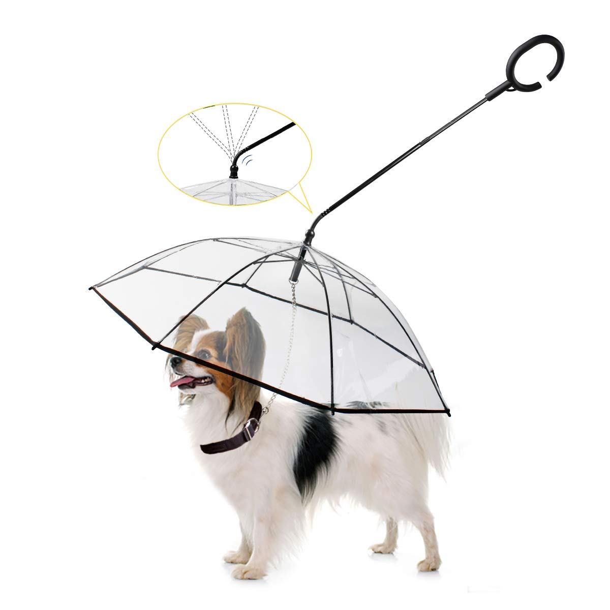 Dog wearing a transparent pet umbrella with a white background