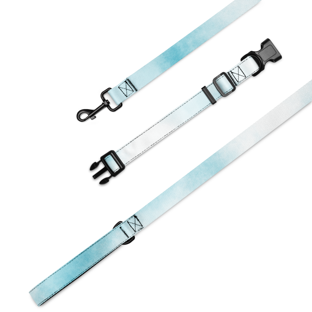 Chic Pet Collar & Leash Set