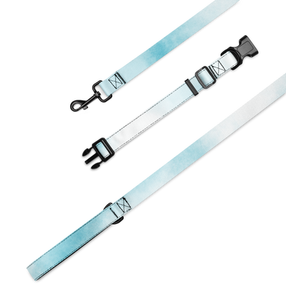 Chic Pet Collar & Leash Set