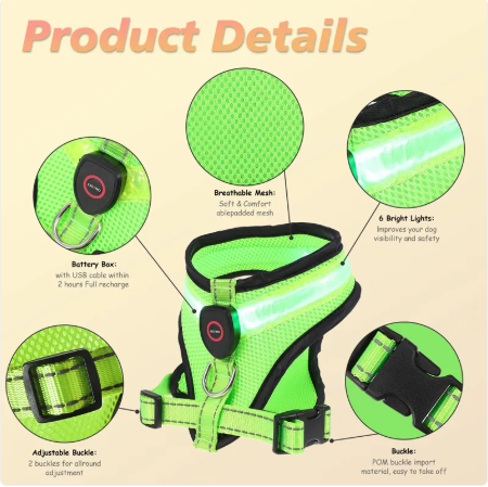 Harnais LED BrightTrail pour chien