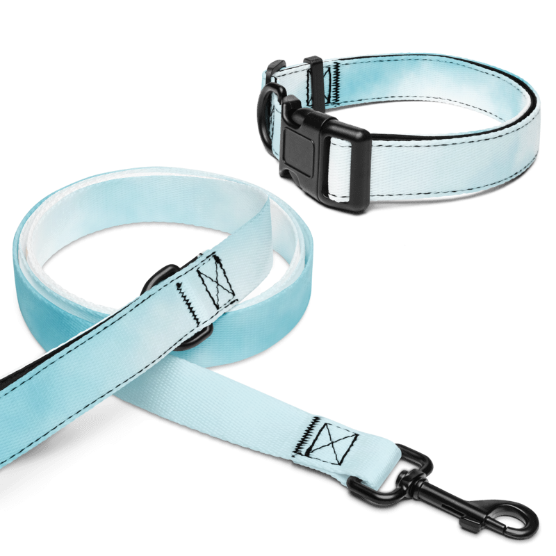 Light blue dog collar and leash set on a white background
