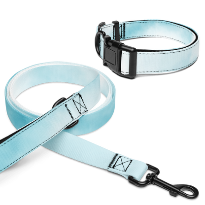 Light blue dog collar and leash set on a white background