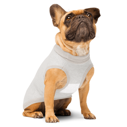 Dog wearing a light gray tank top on a white background